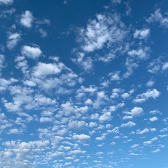 Emma Dusenbury - Numbers