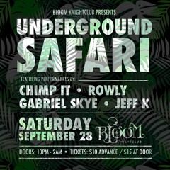 The Underground Safari Mix