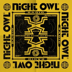 Night Owl Radio 216 ft. BTSM and Duke Dumont