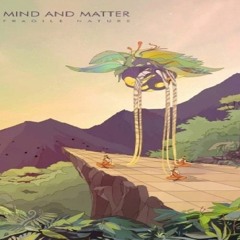 Mind And Matter - Day Out Of Time - (Undecimalis Remix)