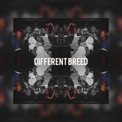 Different Breed Feat. Nabiiou$