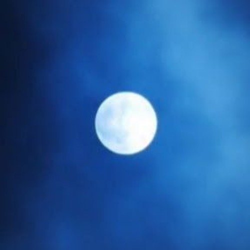 MOON - ไม่ต้องการหรอก