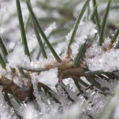 2019 DAY 04 - FREEZE