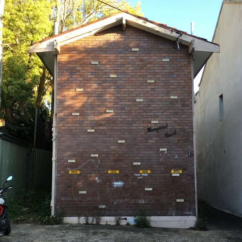 Attic Creatures 6 (Down Under Discs - Lorikeets on a Friday Morning)