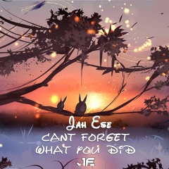 Can't Forget What You Did