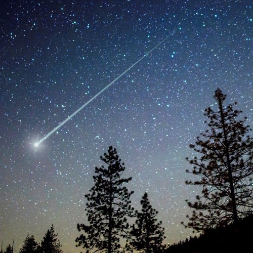 S T A R  F E L L FT. Trippy T, Ascension, Osmosis