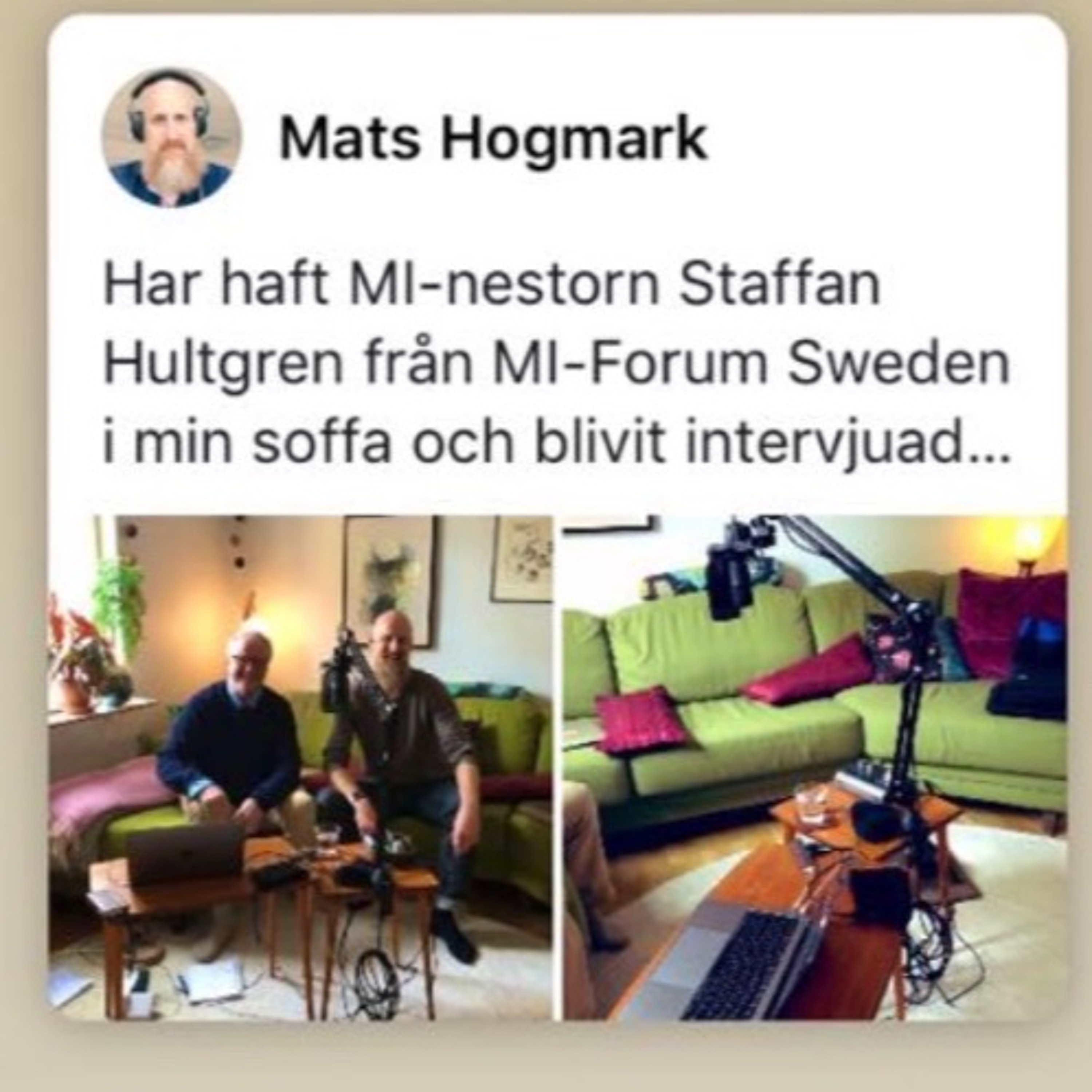 Beteendeperspektivet