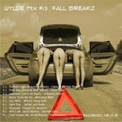 Wylde Mix #13 Fall Breaks