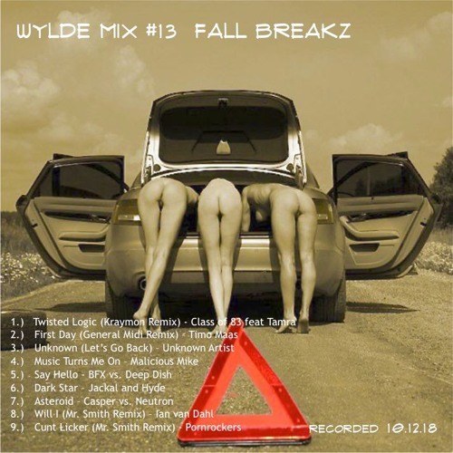 Wylde Mix #13 Fall Breaks