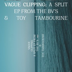 The BV's - Clipping