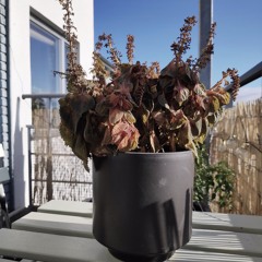 It´s been a Long Day