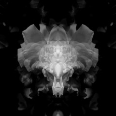 Bloom | Chill Dreamy Lofi Hip Hop Instrumental