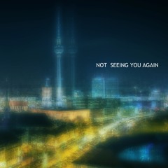 Not Seeing You Again
