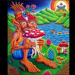Fungus Funk,Drip Drop - After Man