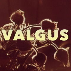 Valgus