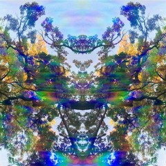 Schrödinger's Funk - Funk-Bass Glitch Dubs