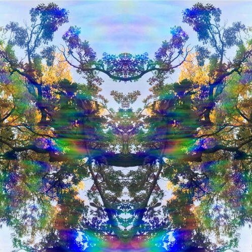 Schrödinger's Funk - Funk-Bass Glitch Dubs