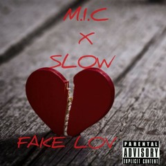 MIC X SLOW - FAKE LOV