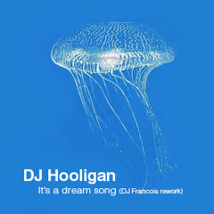 DJ Hooligan - Its a Dream song (DJ Francois rework)