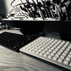 100519001 modular - monome crow M4L