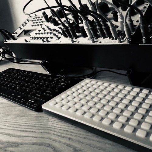 100519001 modular - monome crow M4L