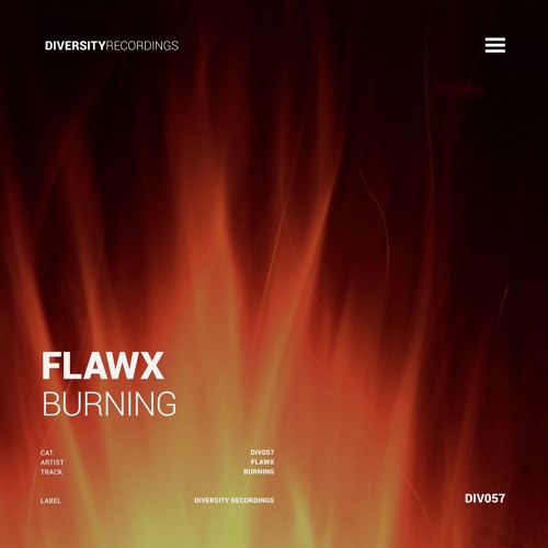 Flawx - Burning