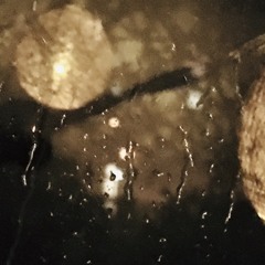 Im Betondschungel... 14.09.2019 // openmarx