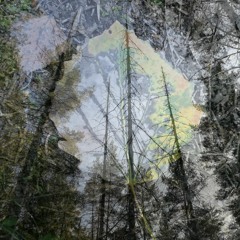 prayer for spirals (edit)