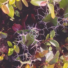 I LEFT MY LOVE IN A LOCKET AT THE BOTTOM OF THE OCEAN