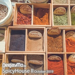 SpicyHouse II October 2019
