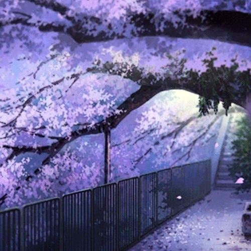 asokah - Days of Blossom