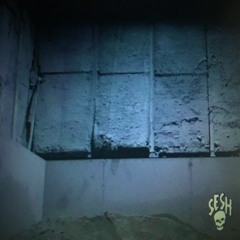 [bonus] Satt