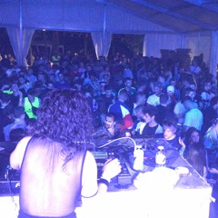 MOGROFEST 8.0 GALEUS _ K