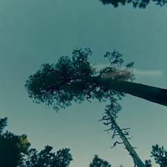 Bones (Cover) by Cora Darling ft. Foot