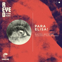 Electric Beethoven | "Para Elisa (Guacamayo Tropical Remix) | Color Red Remix