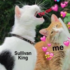 Lock Me Up - Sullivan King