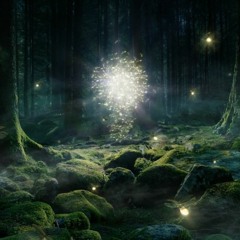 Flight of the Fireflies (Celestial Traveller EP)