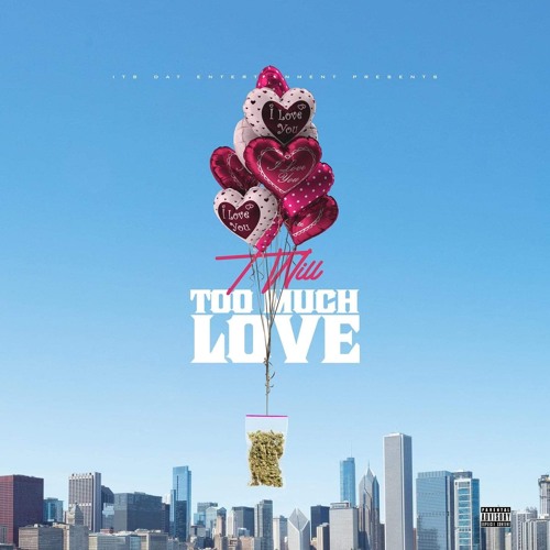T Will - Too Much Love