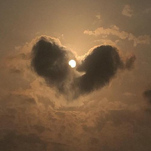 when i press play errything is fine for a precious lil moment