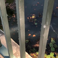 Dr. King [Early Pharblos Demo]