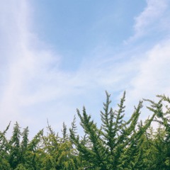 신실하게 진실하게