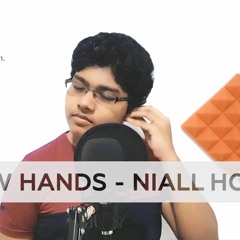 Slow Hands - Niall Horan (Cover By Anjana Kariyawasam)