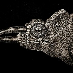 Don't Come Crying to Me (Anderson Mill Pub, 4-9-16)