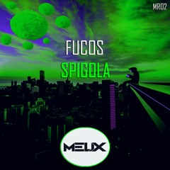 Fucos - Spigola