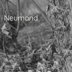 Neumond