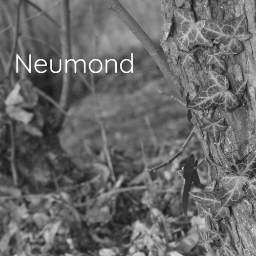 Neumond