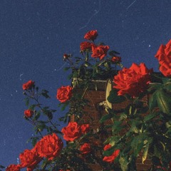 Like a moon