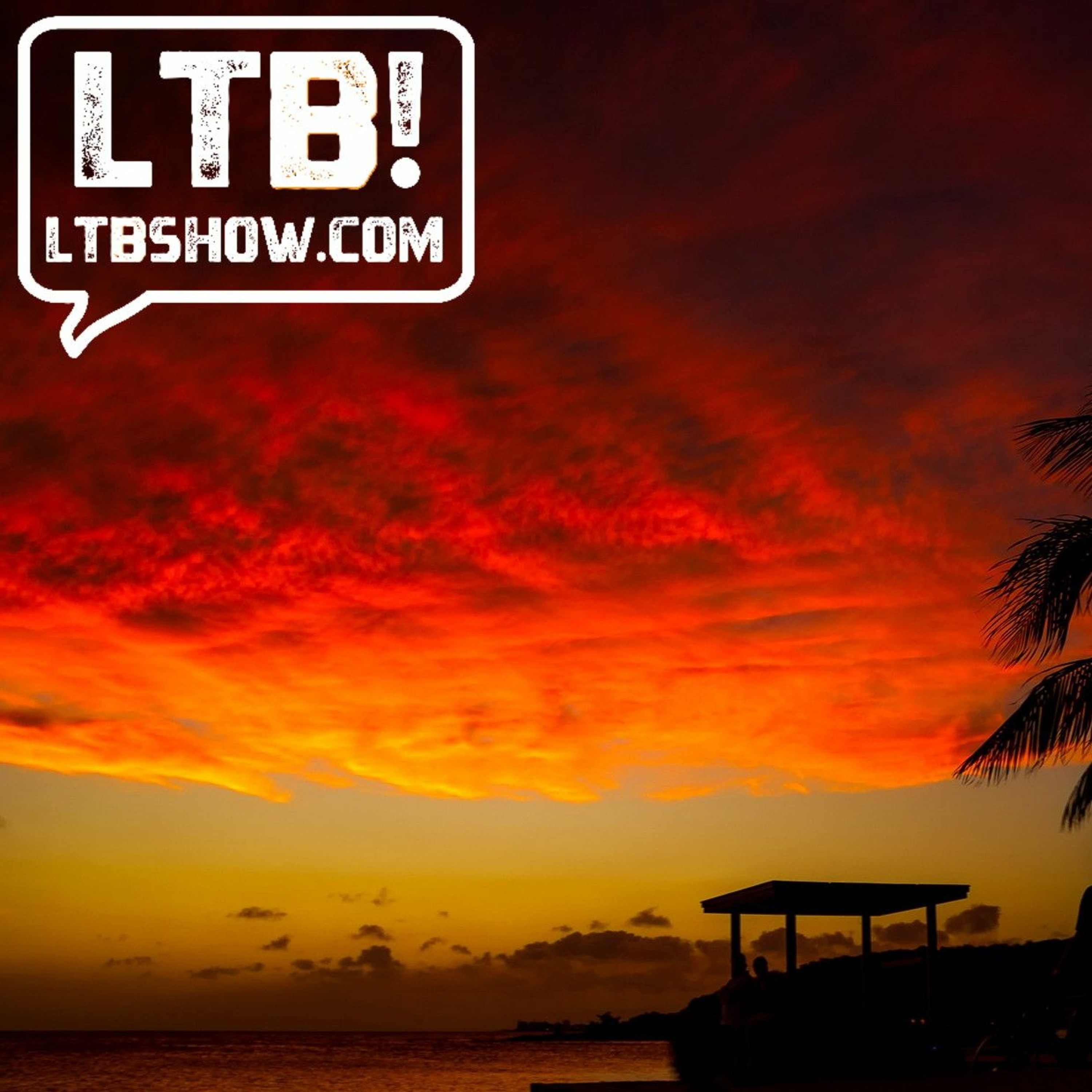 LTB #415 A Domino Effect