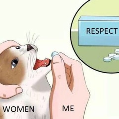 The Language Of Cats