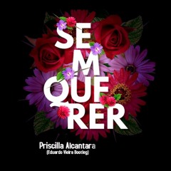 Priscilla Alcantara - Sem Querer (Eduardo Vieira Bootleg)[FREE DOWNLOAD